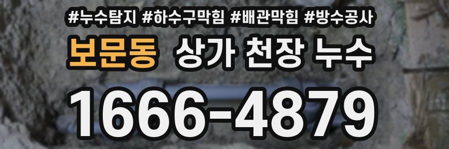 보문동 상가 천장 누수