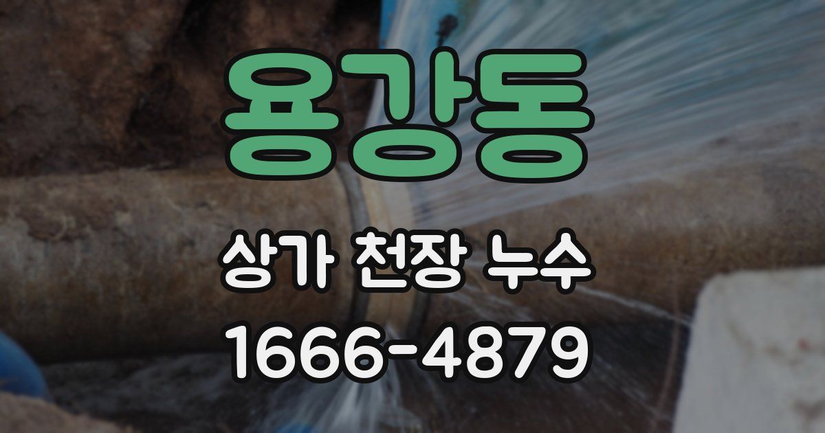 용강동 상가 천장 누수