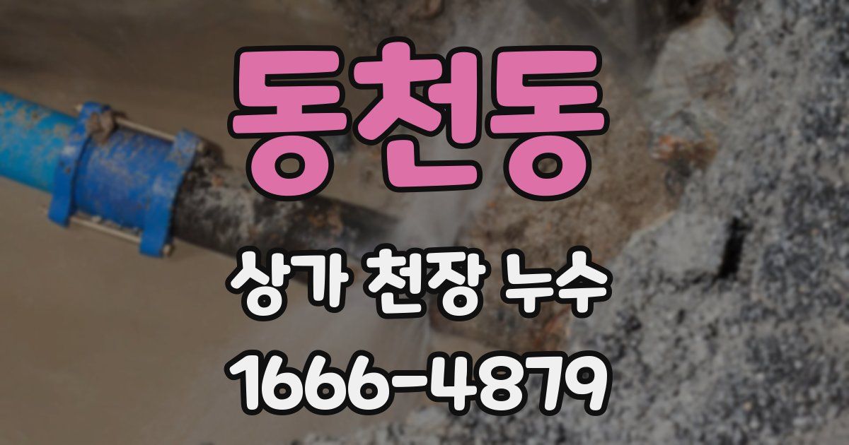 동천동 상가 천장 누수