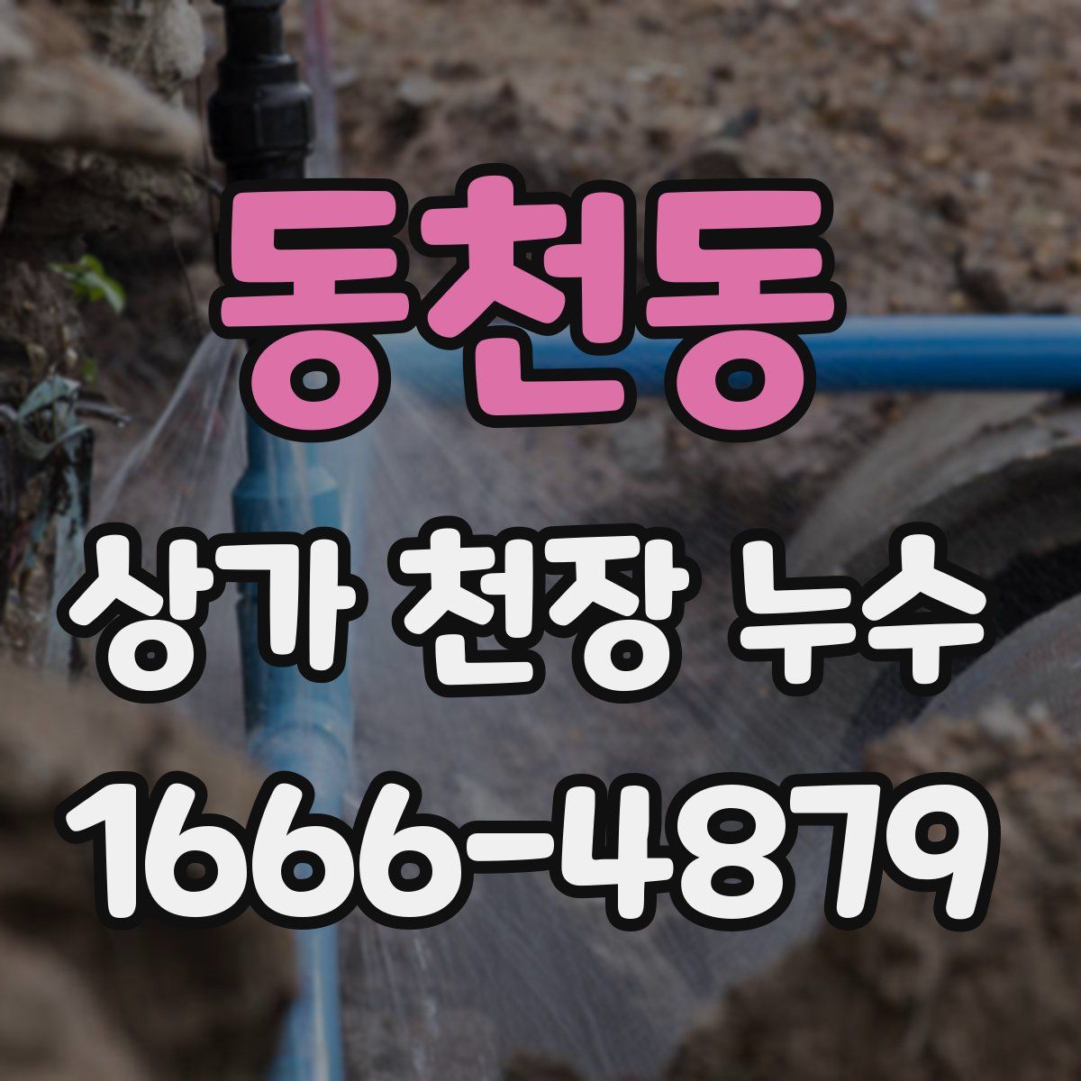 동천동 상가 천장 누수