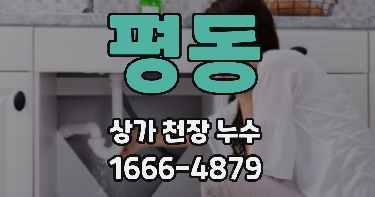 평동 상가 천장 누수