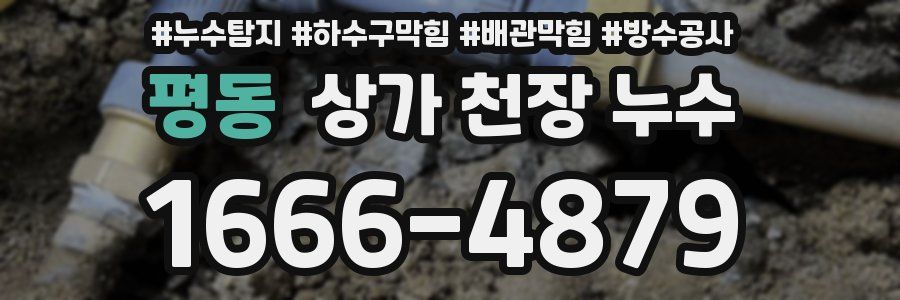 평동 상가 천장 누수