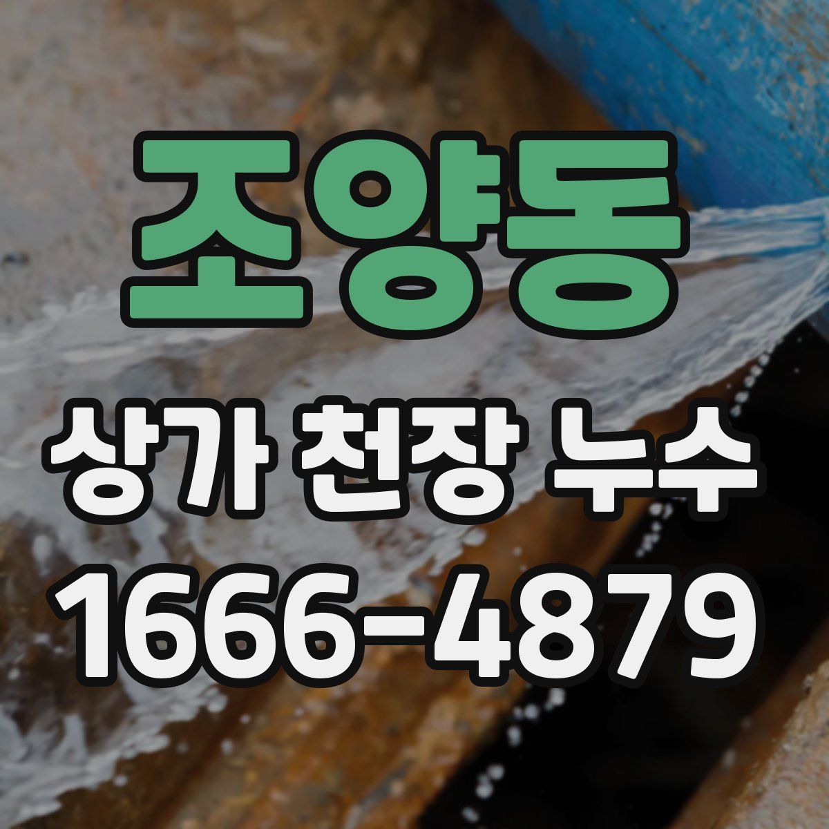 조양동 상가 천장 누수