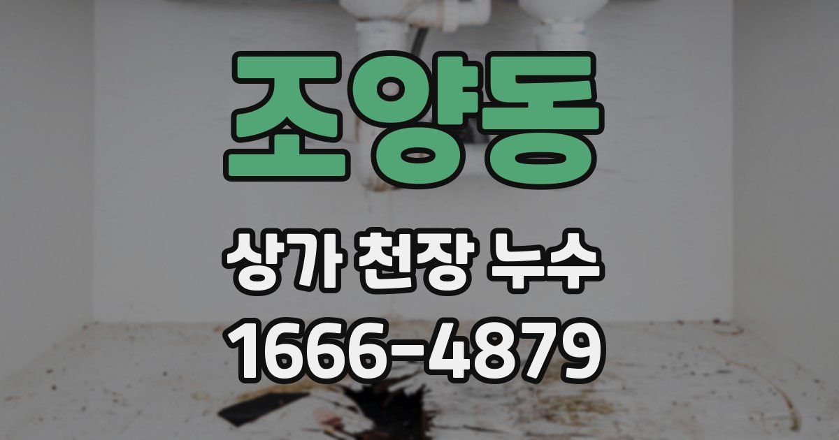 조양동 상가 천장 누수