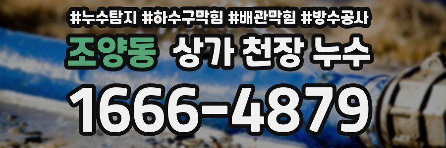 조양동 상가 천장 누수