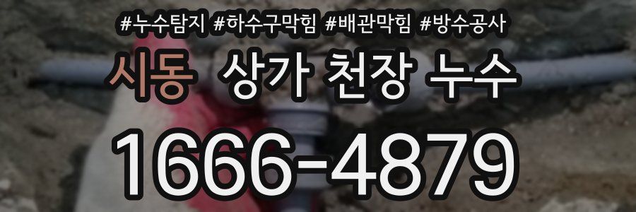 시동 상가 천장 누수