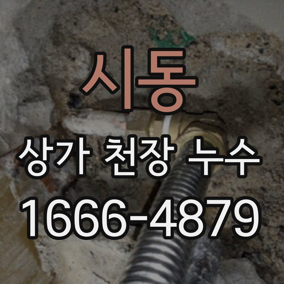 시동 상가 천장 누수
