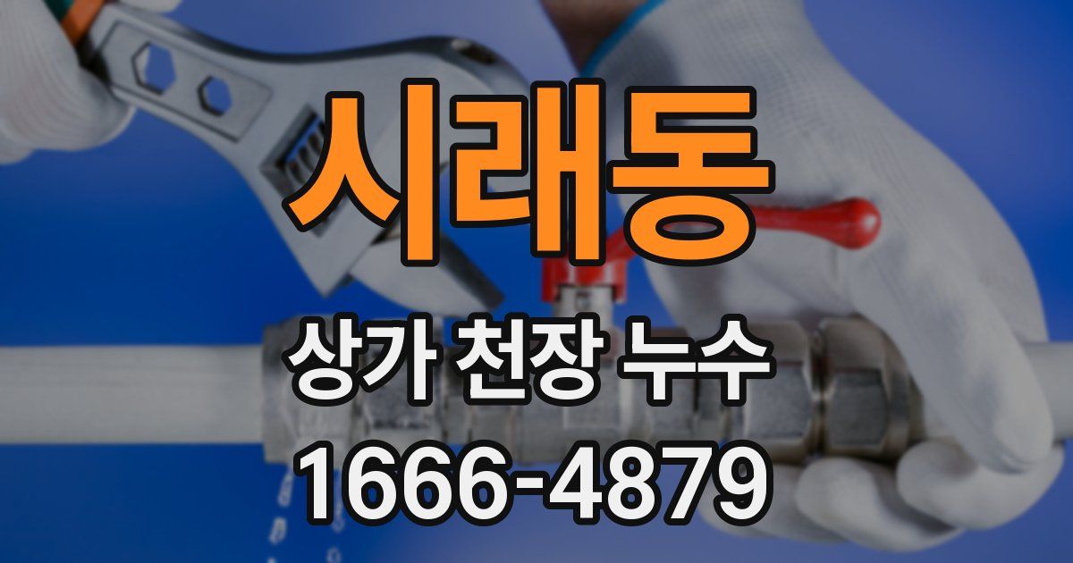 시래동 상가 천장 누수