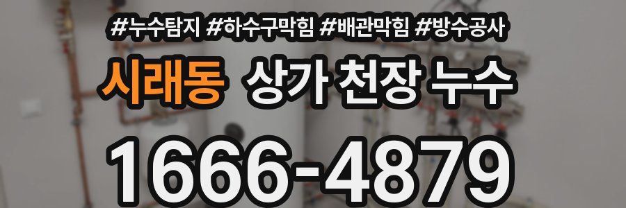 시래동 상가 천장 누수