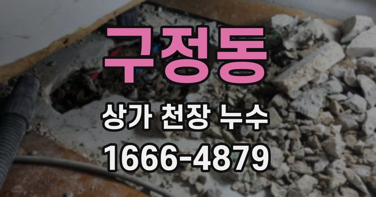 구정동 상가 천장 누수