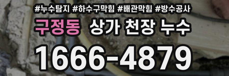 구정동 상가 천장 누수
