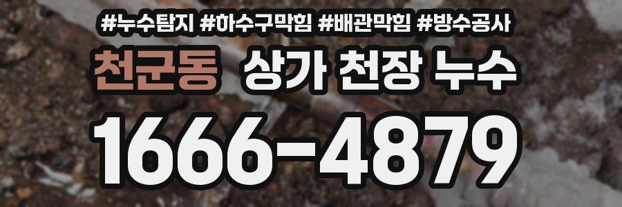 천군동 상가 천장 누수