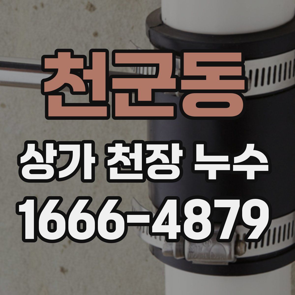천군동 상가 천장 누수