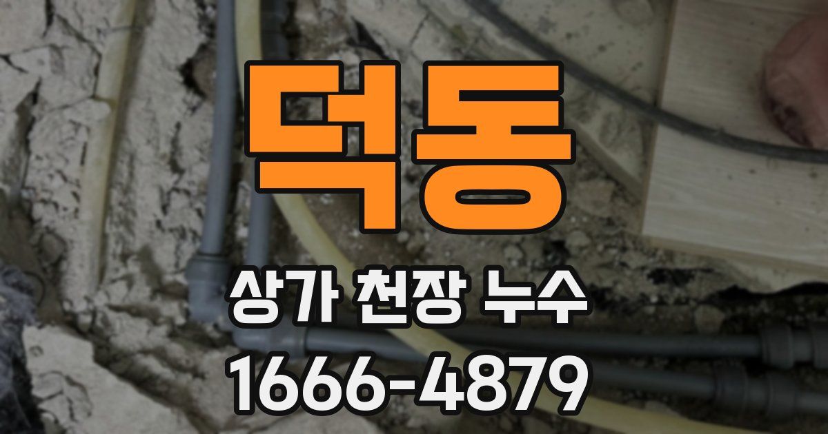 덕동 상가 천장 누수
