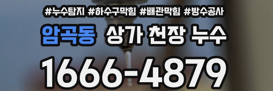 암곡동 상가 천장 누수