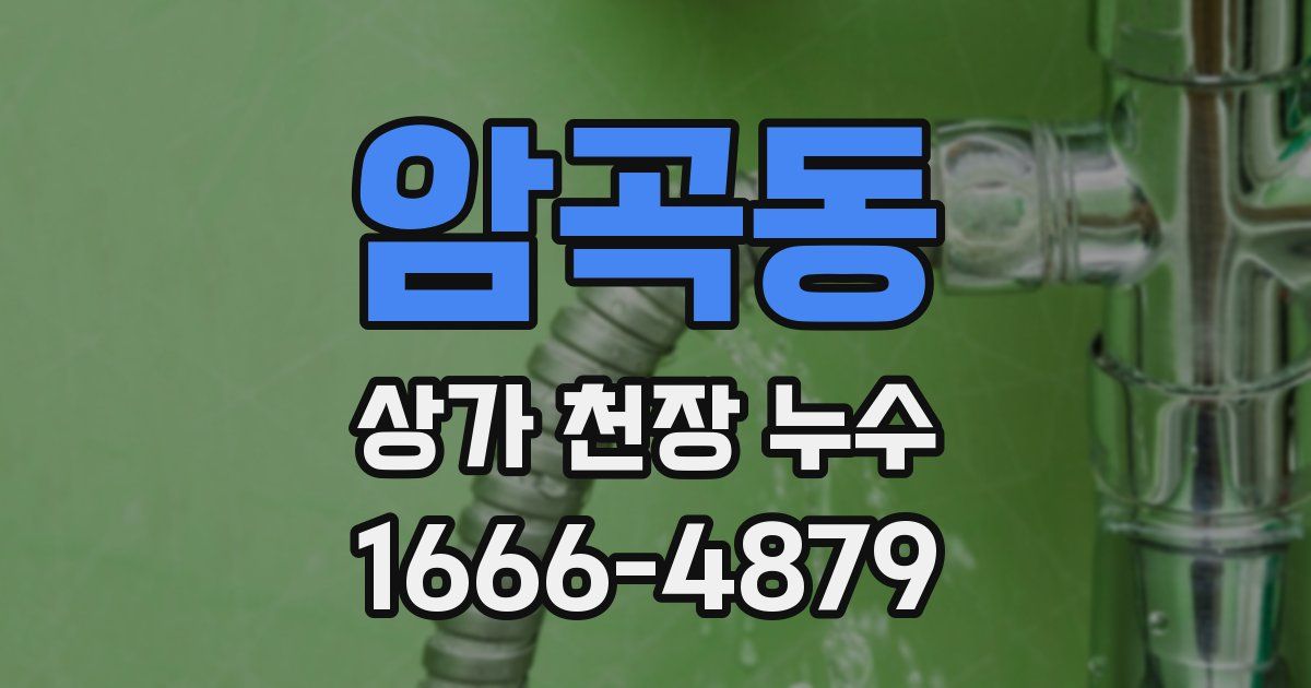 암곡동 상가 천장 누수