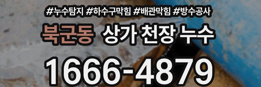 북군동 상가 천장 누수