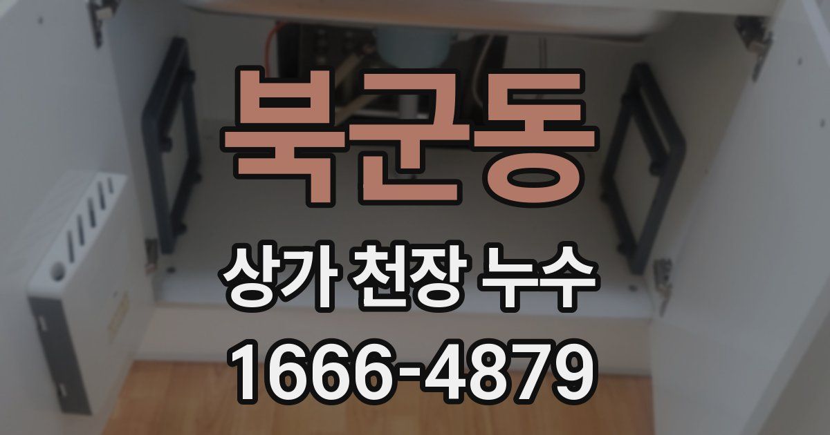 북군동 상가 천장 누수