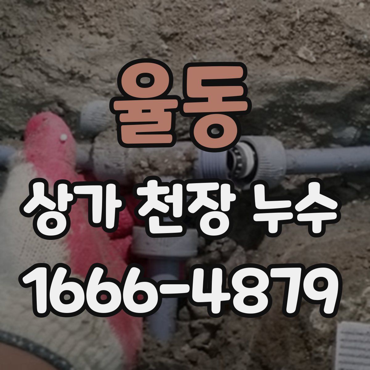 율동 상가 천장 누수