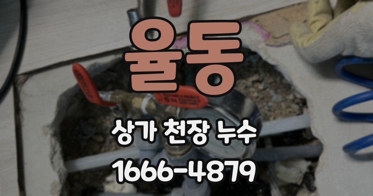 율동 상가 천장 누수