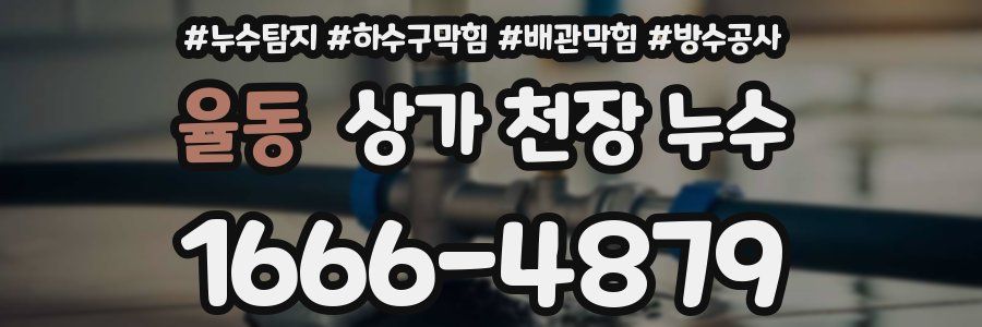 율동 상가 천장 누수