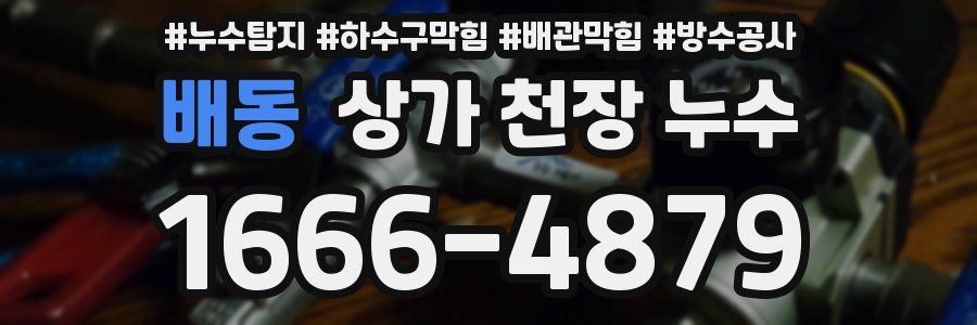 배동 상가 천장 누수
