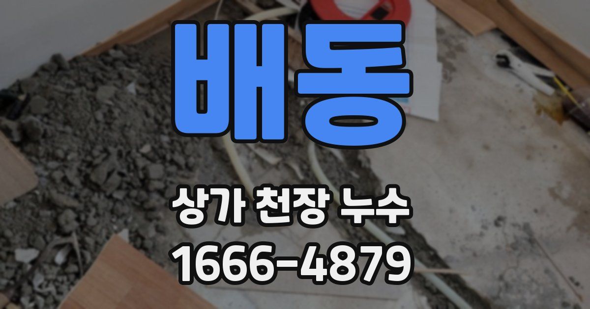배동 상가 천장 누수