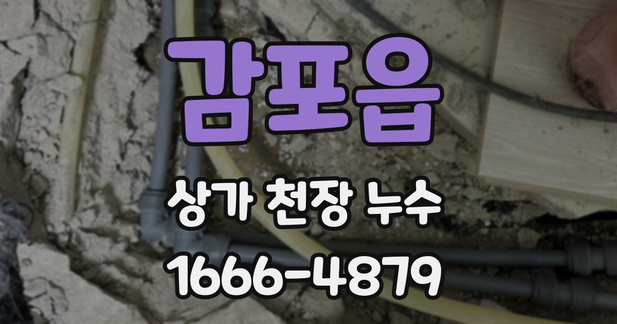 감포읍 상가 천장 누수