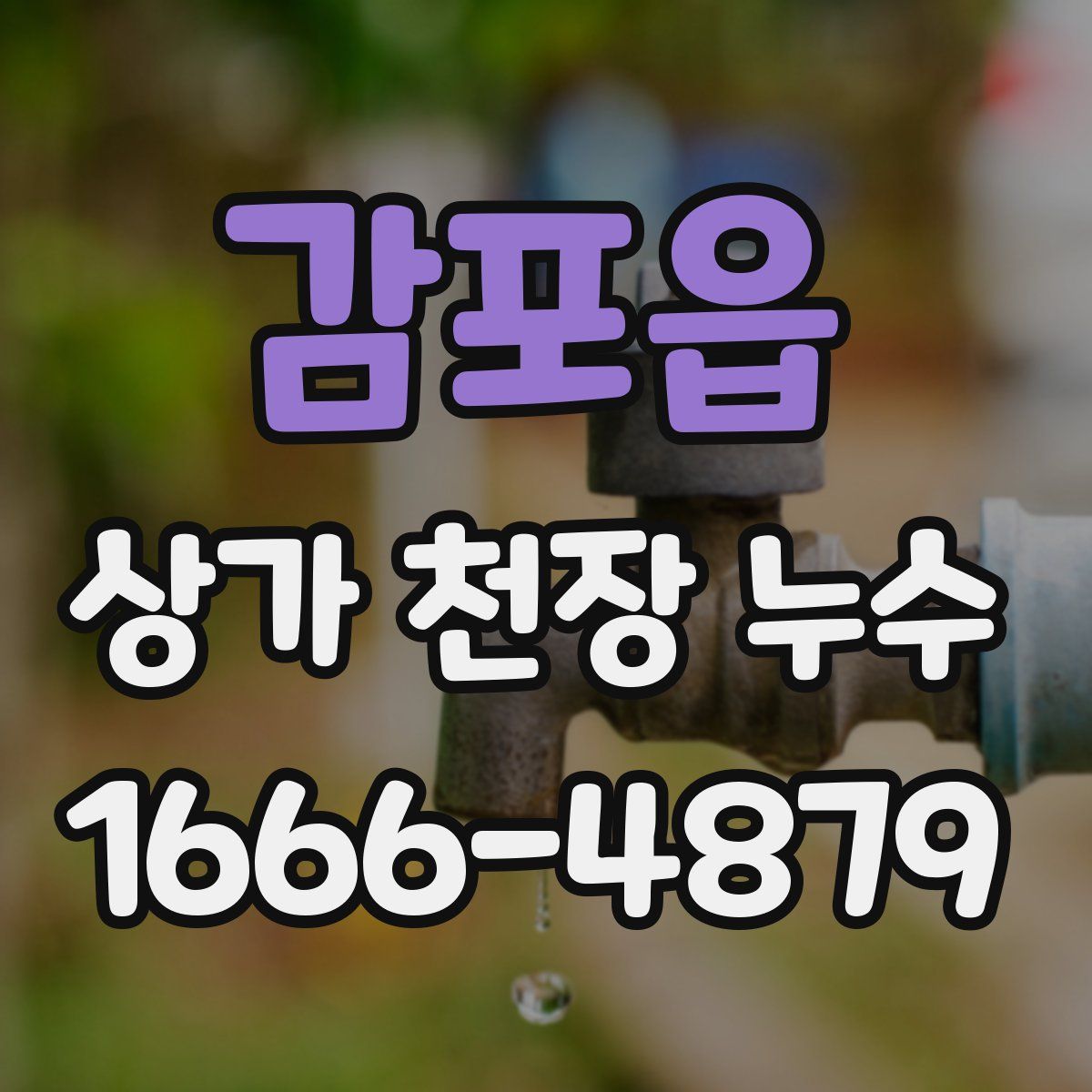 감포읍 상가 천장 누수