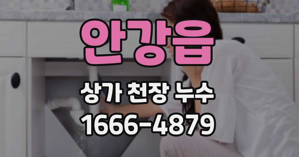 안강읍 상가 천장 누수