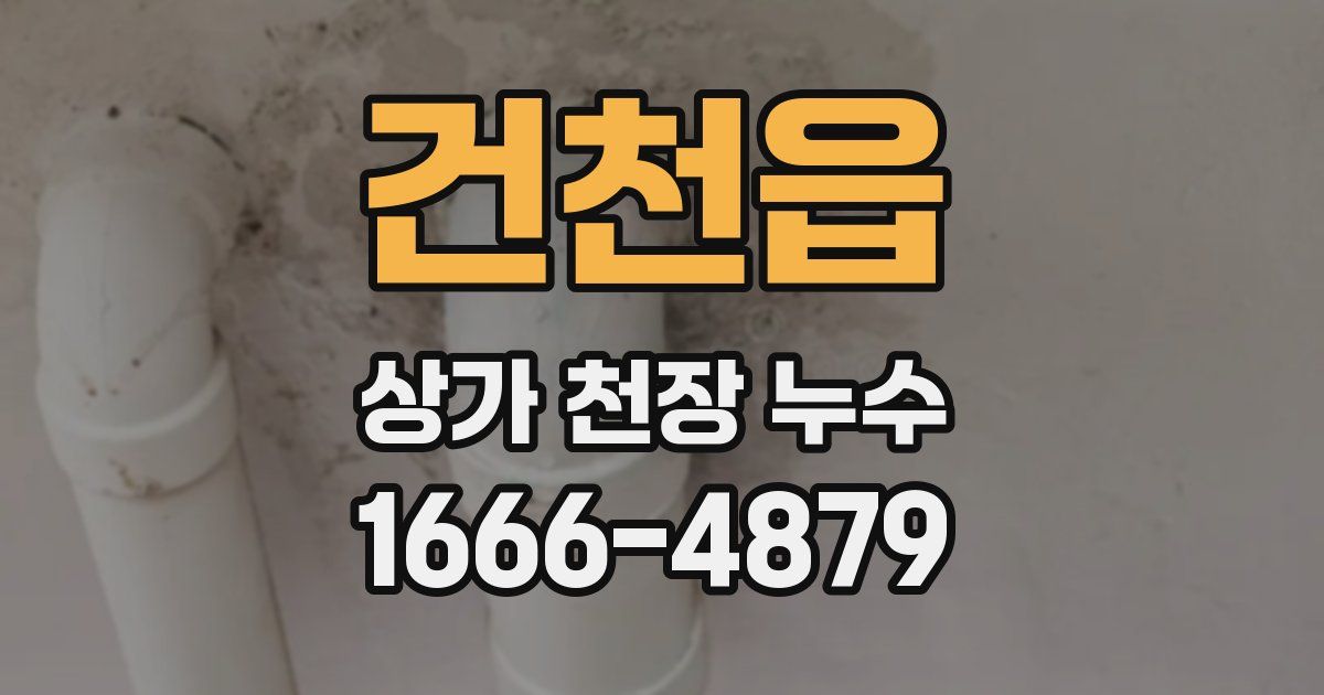 건천읍 상가 천장 누수