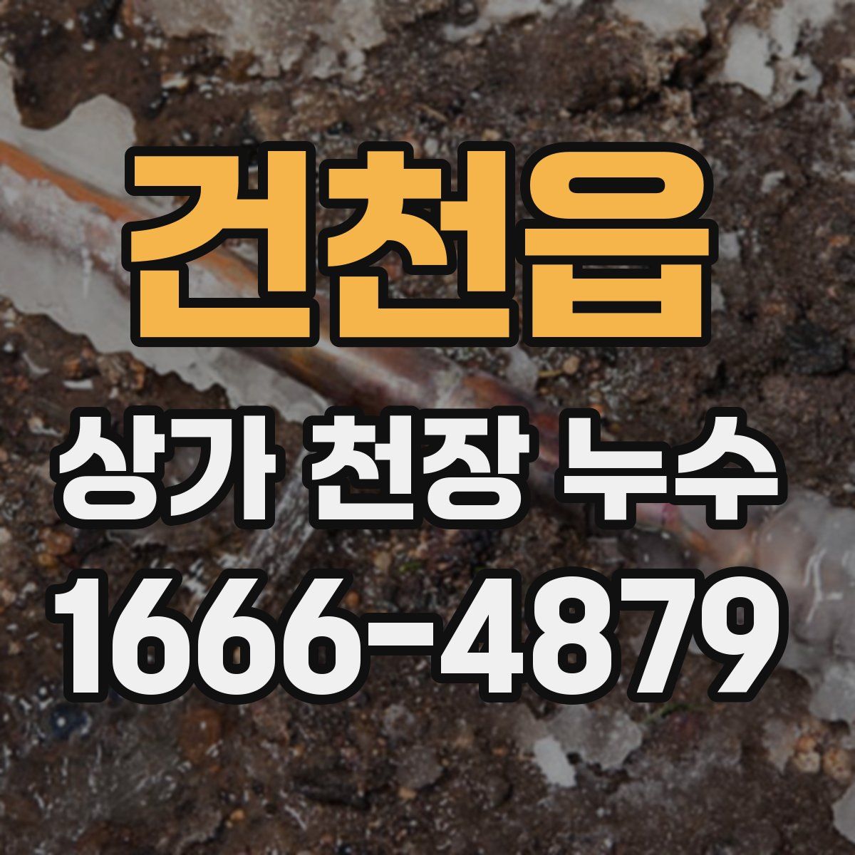 건천읍 상가 천장 누수