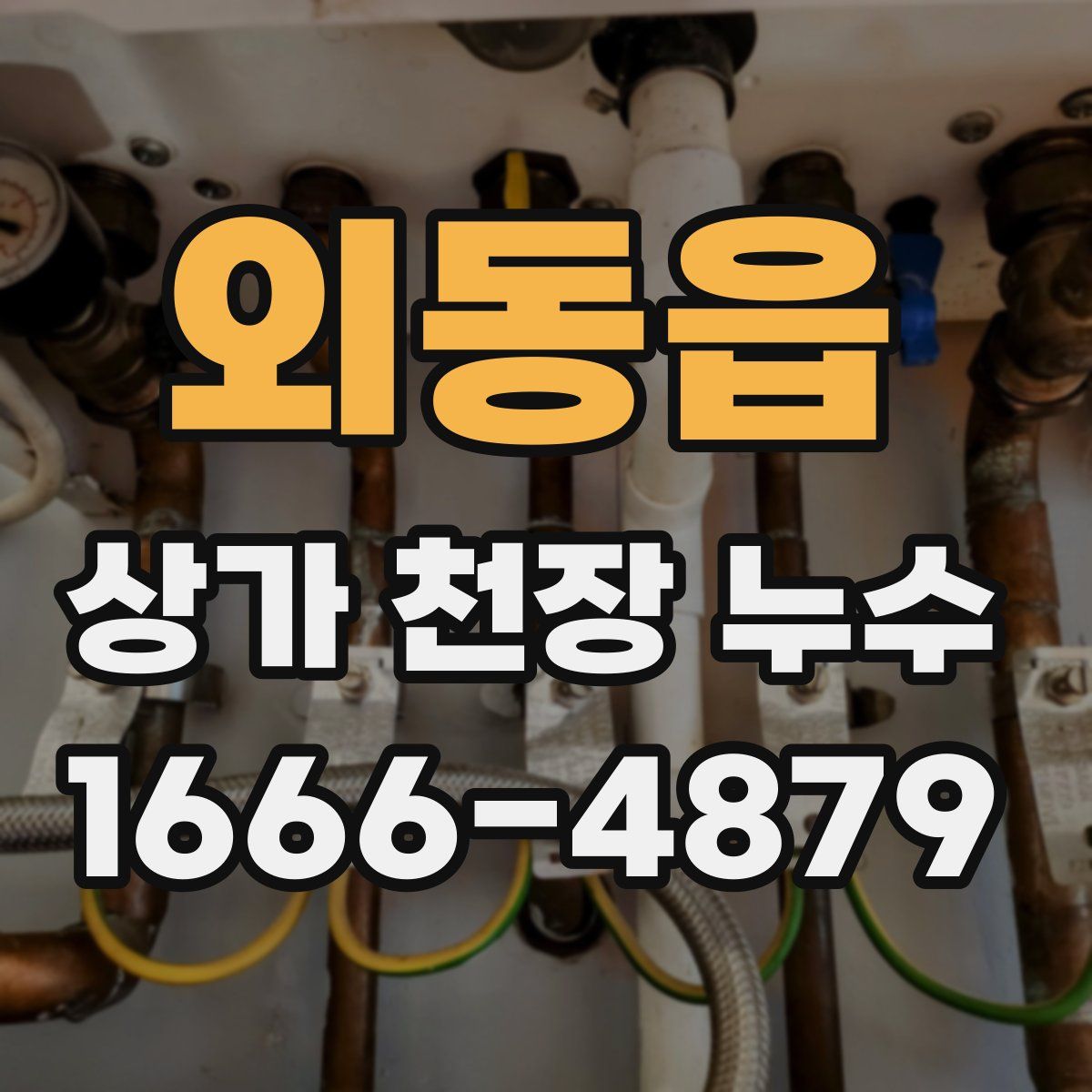외동읍 상가 천장 누수