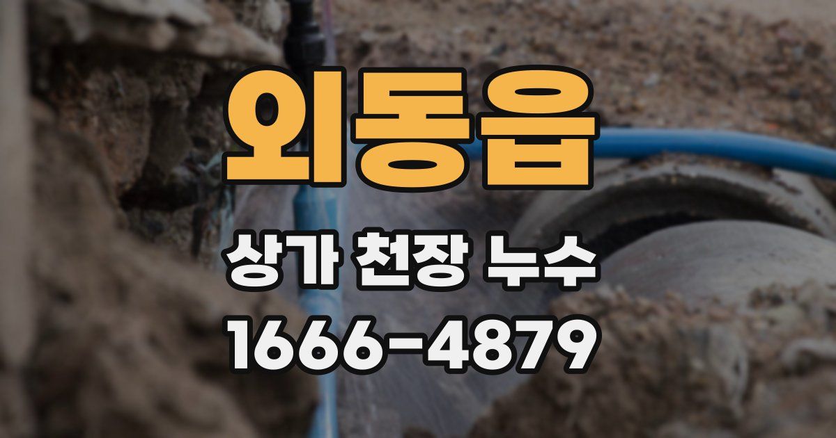 외동읍 상가 천장 누수