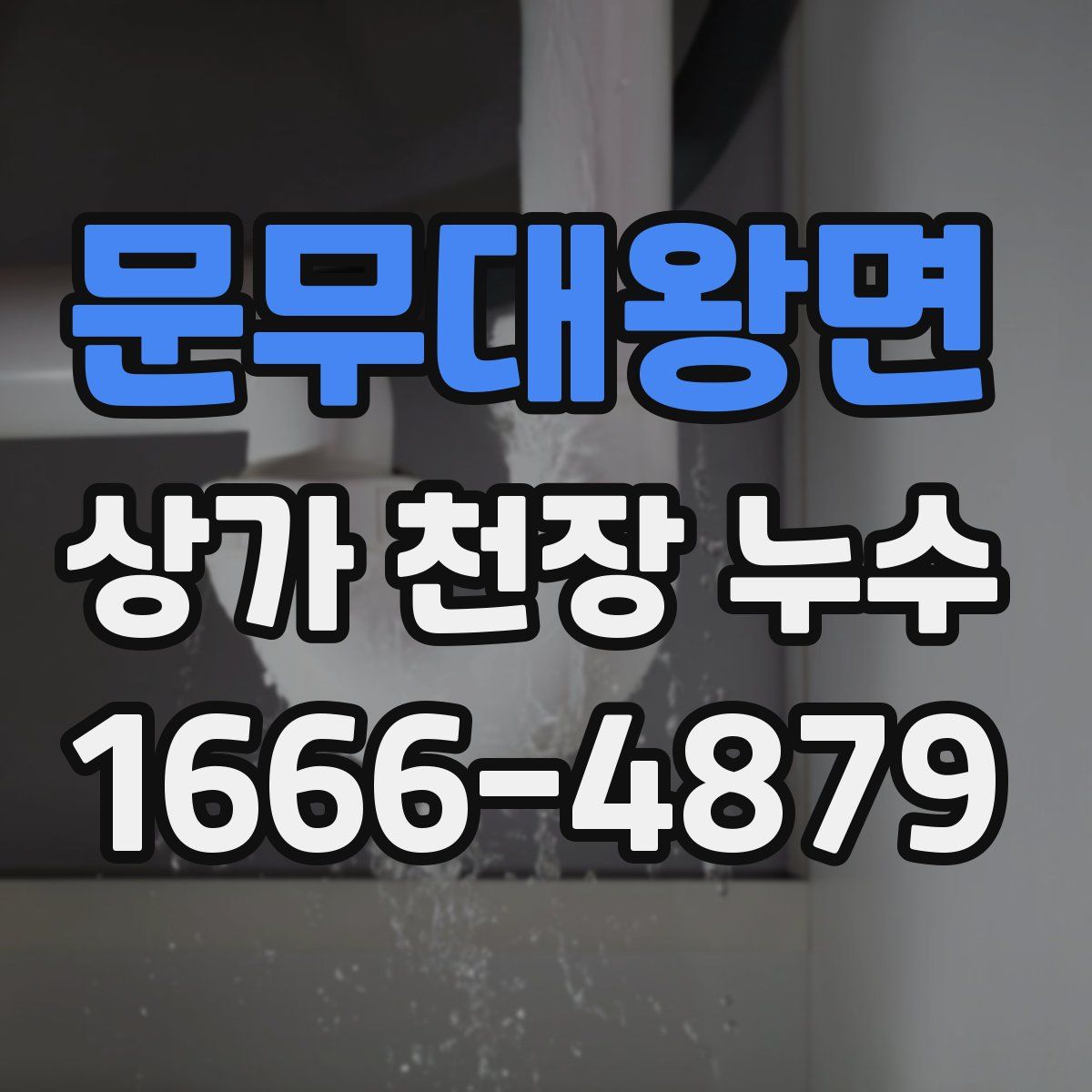 문무대왕면 상가 천장 누수