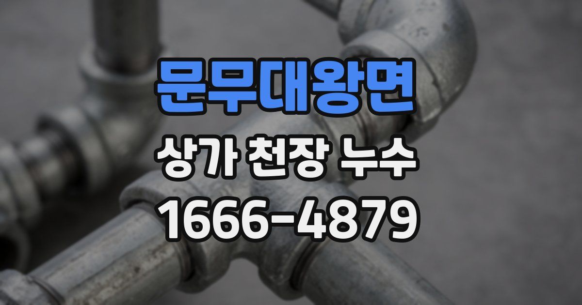 문무대왕면 상가 천장 누수