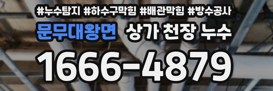 문무대왕면 상가 천장 누수