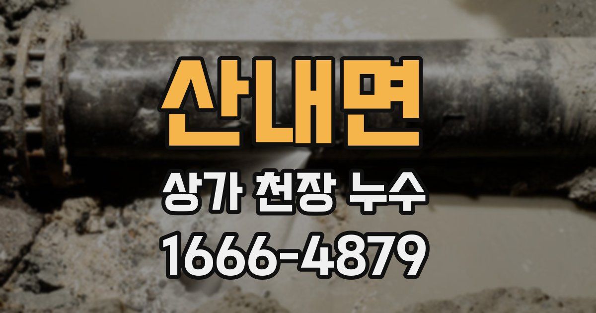 산내면 상가 천장 누수