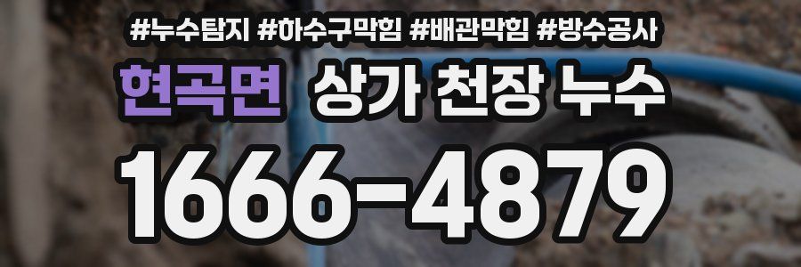 현곡면 상가 천장 누수