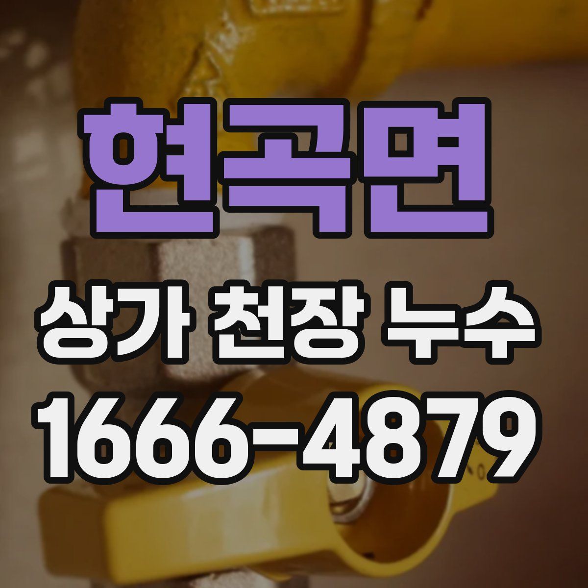 현곡면 상가 천장 누수