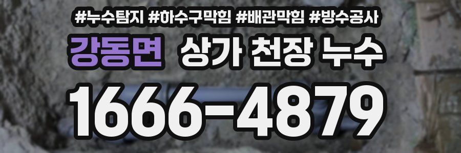 강동면 상가 천장 누수