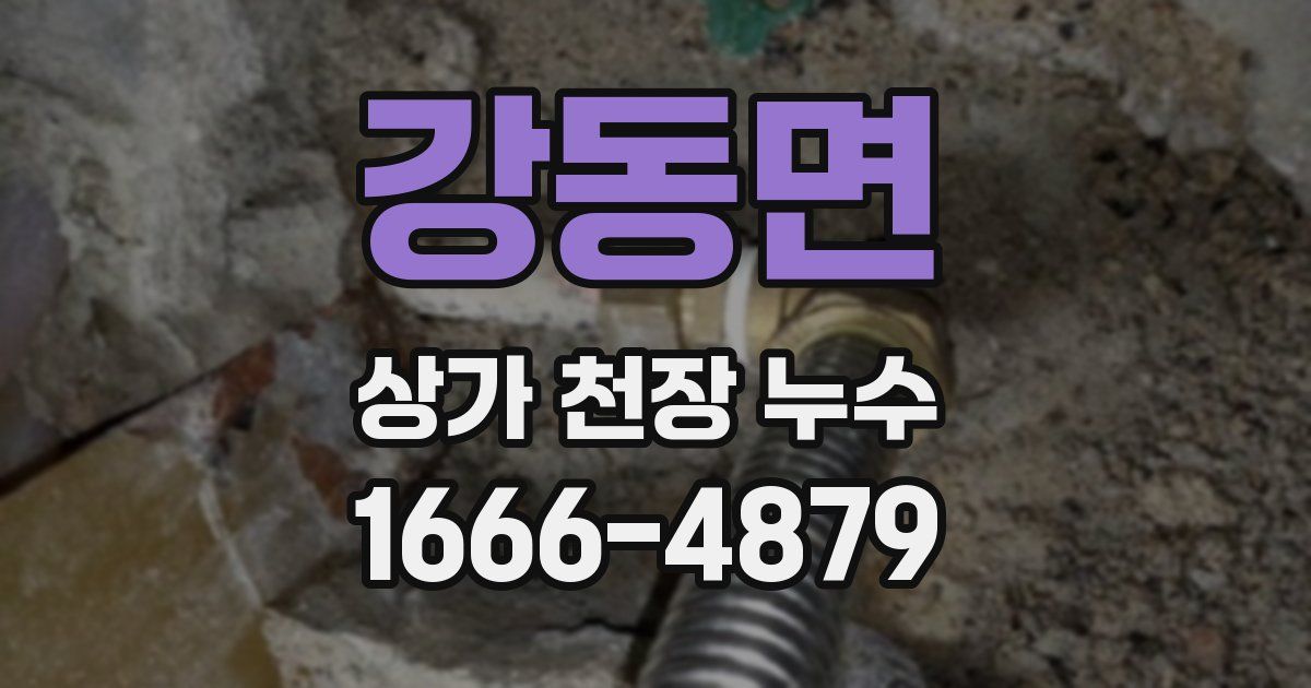 강동면 상가 천장 누수