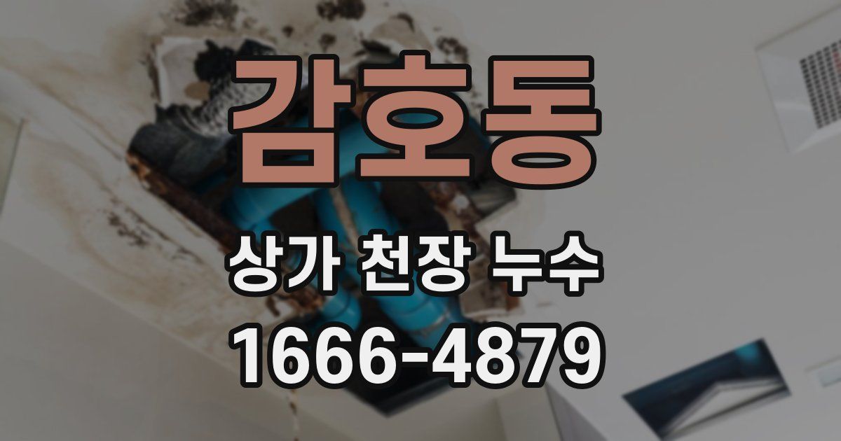 감호동 상가 천장 누수