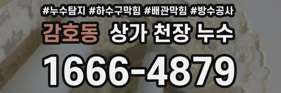 감호동 상가 천장 누수