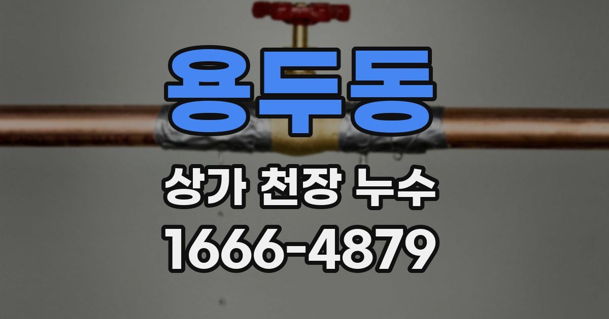 용두동 상가 천장 누수