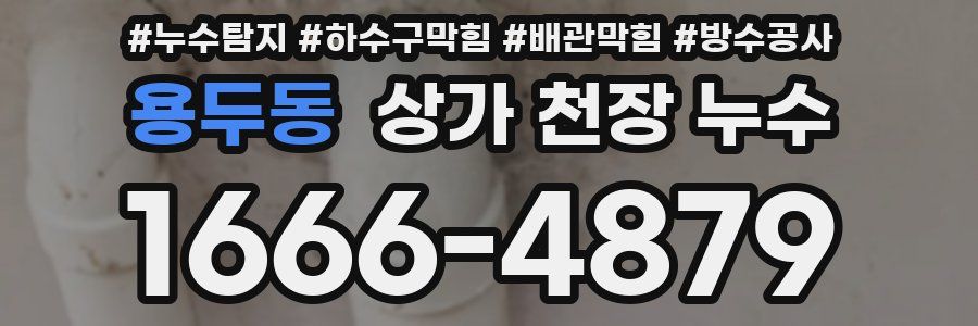 용두동 상가 천장 누수