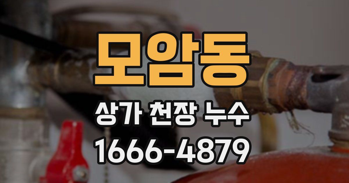모암동 상가 천장 누수