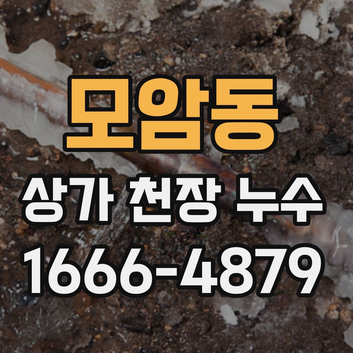 모암동 상가 천장 누수