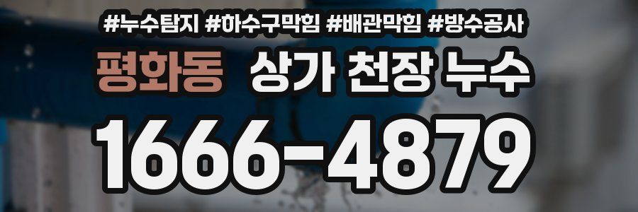 평화동 상가 천장 누수