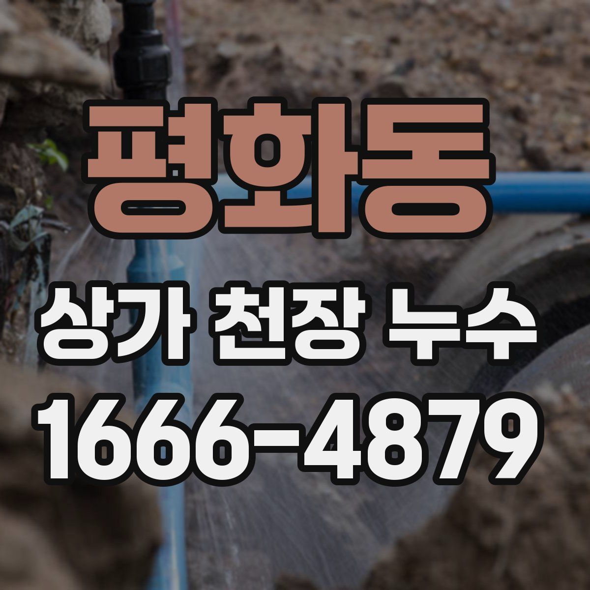평화동 상가 천장 누수